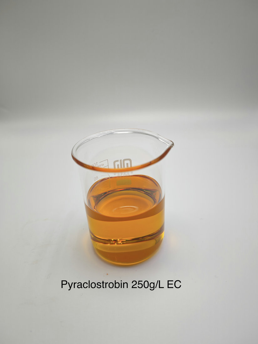 Pyraclostrobin 250g/L EC